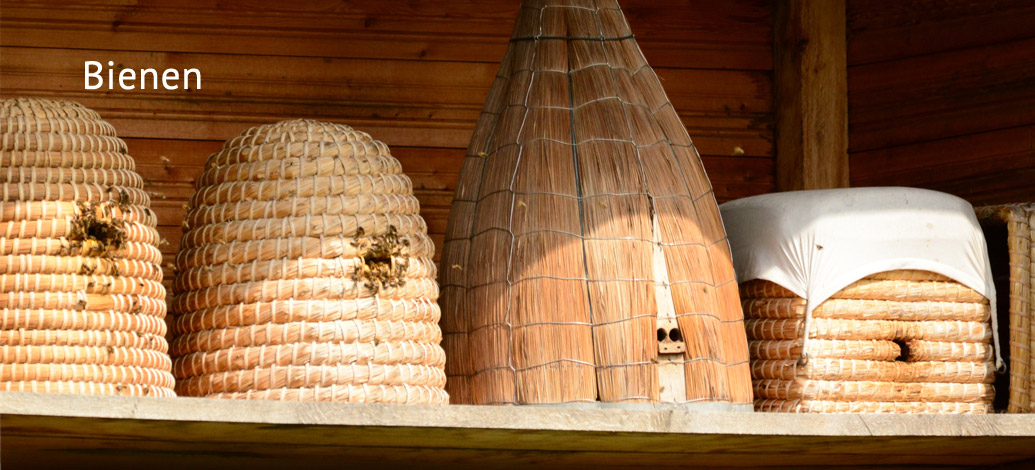 Der Abshof - Bienen