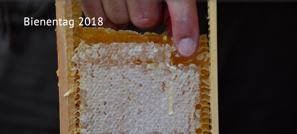 Der Abshof - Bienentag 2018