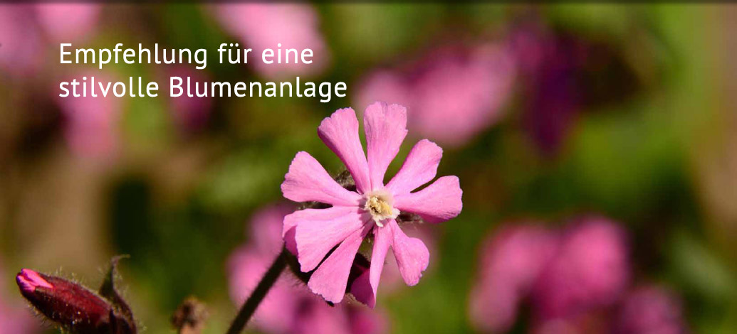 Der Abshof - Empfehlung für eine stilvolle Blumenanlage
