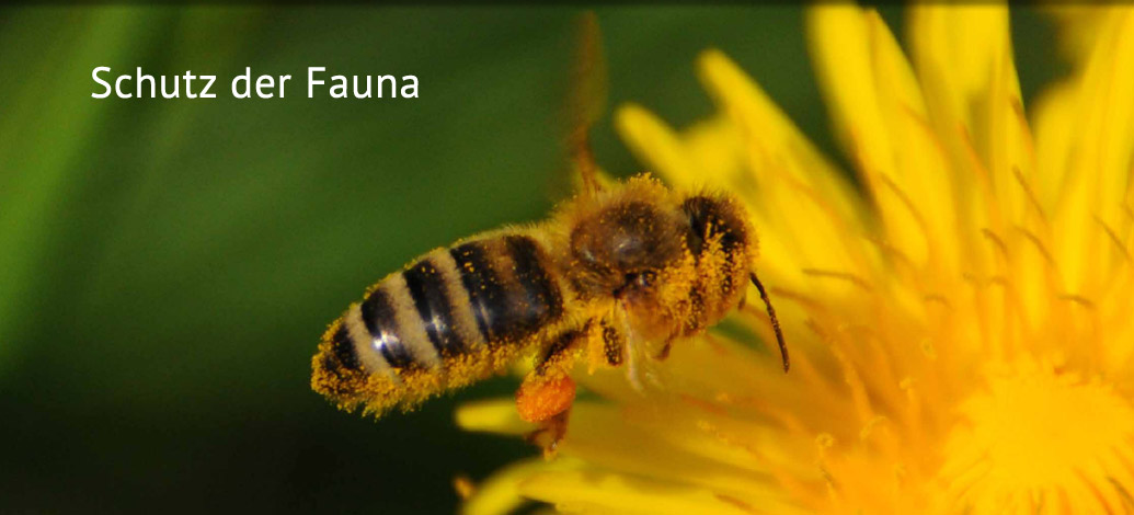 Der Abshof - Schutz der Fauna