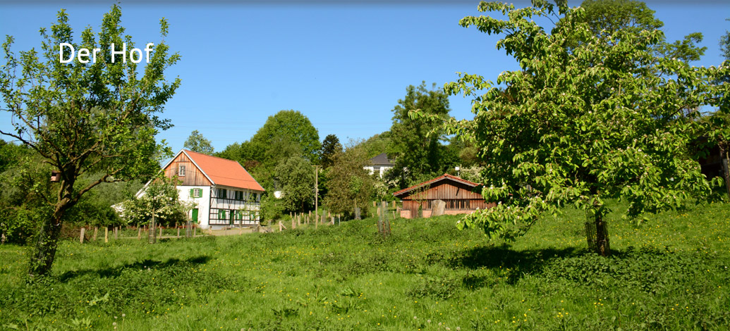 Der Abshof - Der Hof