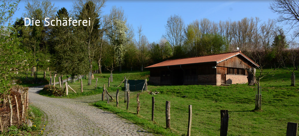 Der Abshof - Der Hof