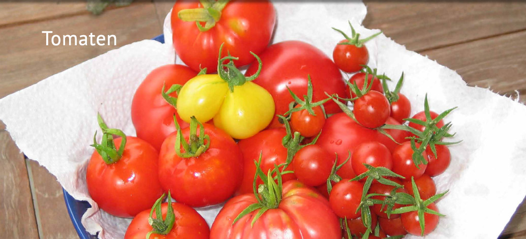 Der Abshof - Tomaten