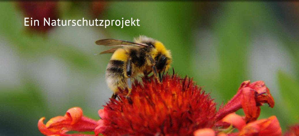 Das Naturschutzprojekt