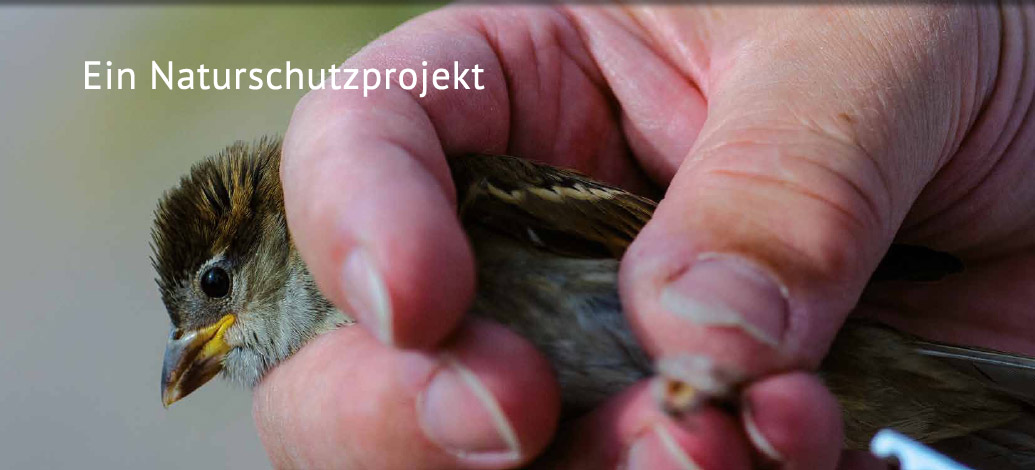 Das Naturschutzprojekt