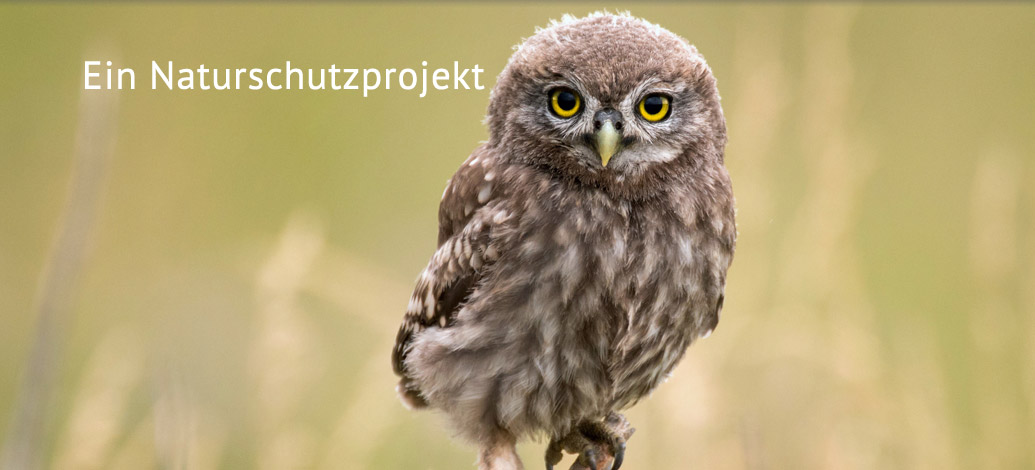 Das Naturschutzprojekt